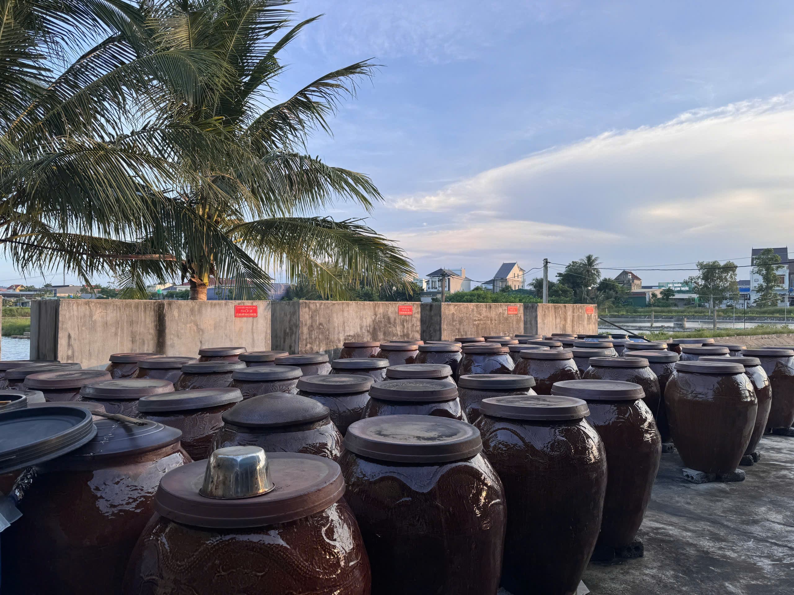 Hàng lu sành ủ chượp